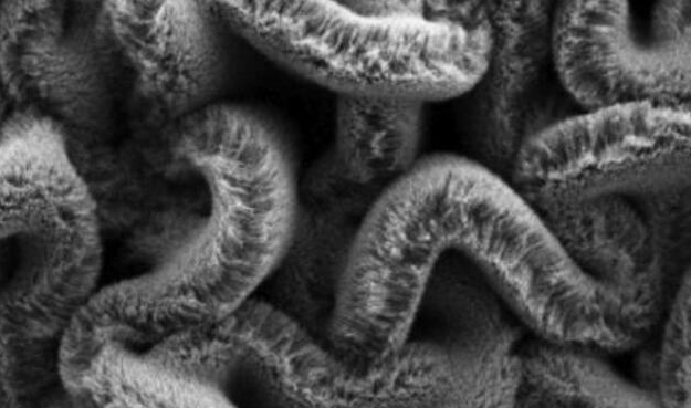 行业新闻：可拉伸的超等电容器，，为柔性可衣着装备铺路